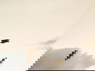 Promo Pure Harmony Three-Part Female Close Harmony Group Lancashire