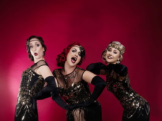 Promo The Lily Belles Vintage Vocal Group Derbyshire