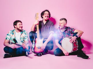 Promo The Marlins Function Band North Yorkshire