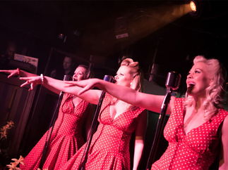 Promo The Melodic Belles Vocal Harmony Trio Bedfordshire