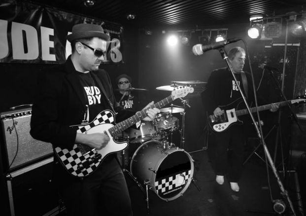 Promo The Party Animals Function Band Staffordshire