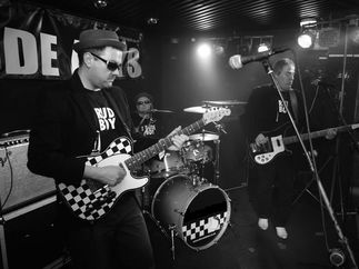 Promo The Party Animals Function Band Staffordshire