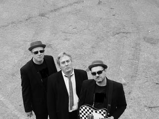 Promo The Party Animals Function Band Staffordshire