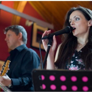 Promo The Professionals  Inverness-shire area