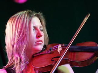 Promo The Rose String Quartet String Quartet Hertfordshire