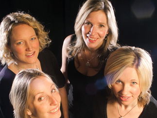 Promo The Rose String Quartet String Quartet Hertfordshire