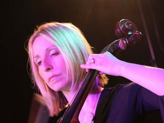 Promo The Rose String Quartet String Quartet Hertfordshire