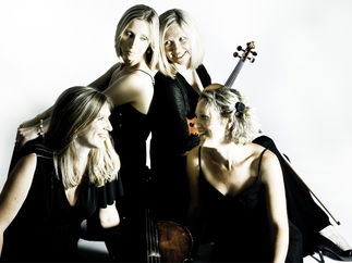 Promo The Rose String Quartet String Quartet Hertfordshire