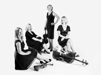 Promo The Rose String Quartet String Quartet Hertfordshire