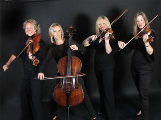 Promo The Rose String Quartet String Quartet Hertfordshire