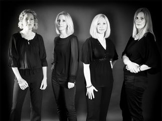 Promo The Rose String Quartet String Quartet Hertfordshire