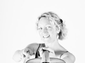 Promo The Rose String Quartet String Quartet Hertfordshire