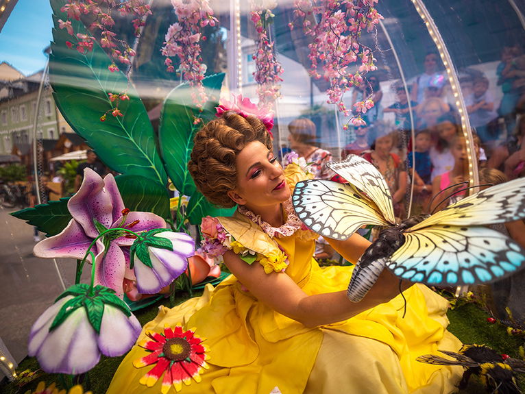 artists similar to The Show Globe