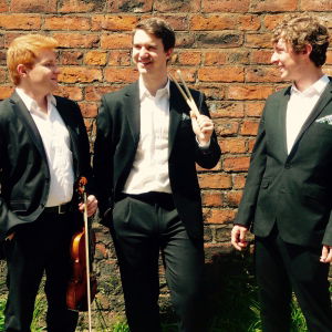 Promo The Manchester Ceilidh Trio  Greater Manchester