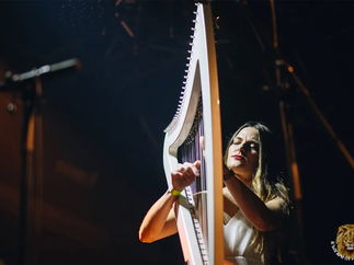 Promo T L Harp Harpist Edinburgh