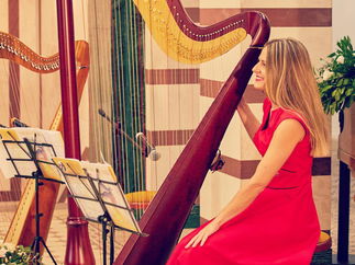 Promo T L Harp Harpist Edinburgh