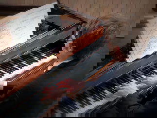 Promo Tom K Pianist Hampshire