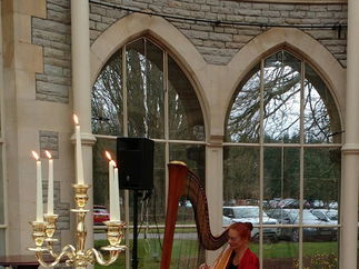 Promo Marie-France (Harpist) Harpist Somerset