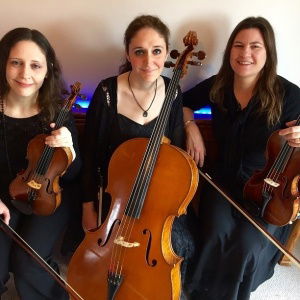 Promo Adelaide Quartet  Surrey