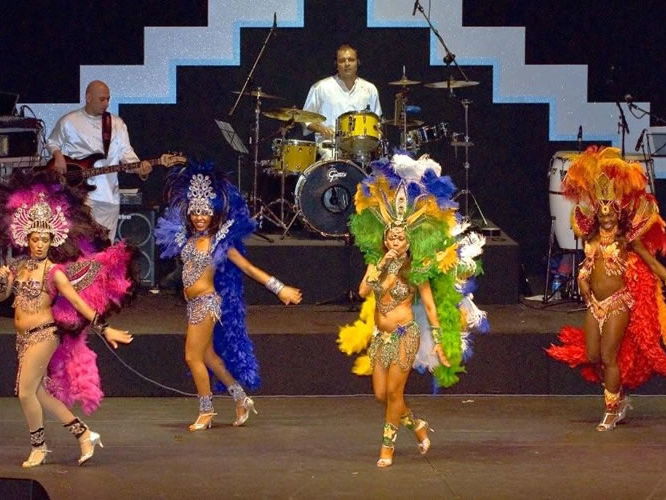 artists similar to Tropicalia Show Band