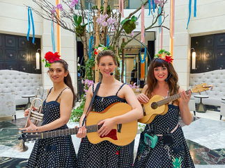 Promo Uke Complete Me Ukulele Roaming Duo or Band London