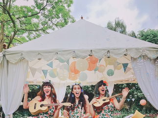 Promo Uke Complete Me Ukulele Roaming Duo or Band London