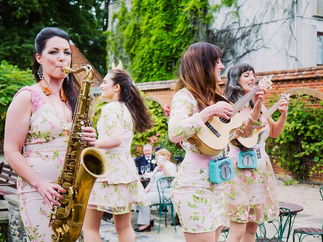 Promo Uke Complete Me Ukulele Roaming Duo or Band London