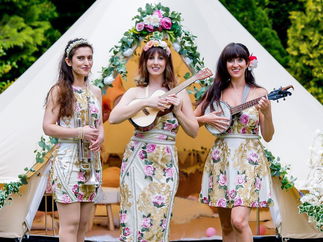 Promo Uke Complete Me Ukulele Roaming Duo or Band London