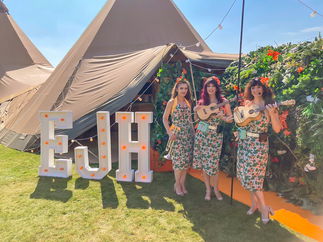 Promo Uke Complete Me Ukulele Roaming Duo or Band London