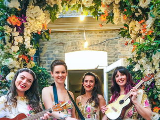 Promo Uke Complete Me Ukulele Roaming Duo or Band London