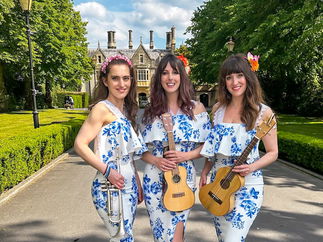 Promo Uke Complete Me Ukulele Roaming Duo or Band London