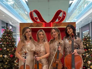 Promo Topaz Electric Strings Electric Violinist London