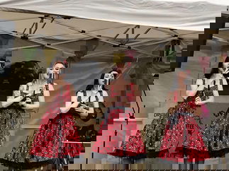 Promo The Vintage Starlets Vintage Vocal Trio Cambridgeshire