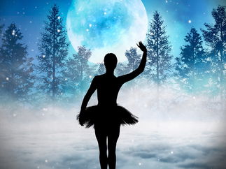 Promo Virtual Christmas Shadow Show Virtual Shadow Show Dorset