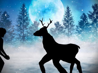 Promo Virtual Christmas Shadow Show Virtual Shadow Show Dorset