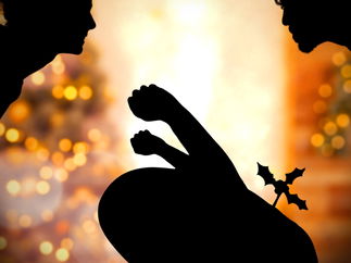 Promo Virtual Christmas Shadow Show Virtual Shadow Show Dorset