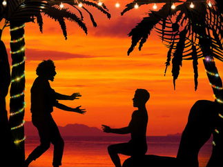 Promo Virtual Christmas Shadow Show Virtual Shadow Show Dorset