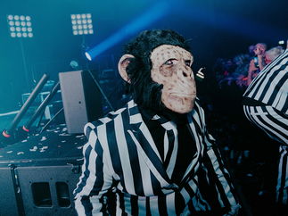 Promo Walkabout Chimps Walkabout Entertainers Kent