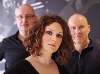 Promo Party Nights Rock & Pop Trio Cheshire