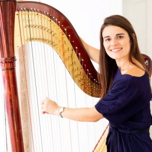 Promo The Cardiff Harpist  Vale of Glamorgan