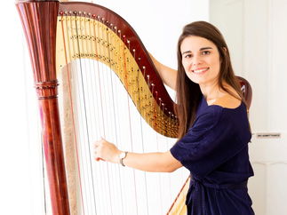 Promo The Cardiff Harpist Harpist Vale of Glamorgan