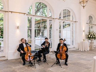 Promo Aria Collective String Ensemble London