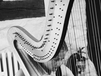 Promo Highland Harp Harpist North Lanarkshire