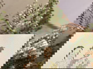 Promo Whimsical Wedding Guest Illustrator Caricaturist Oxfordshire