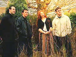 artists similar to Wild Clover