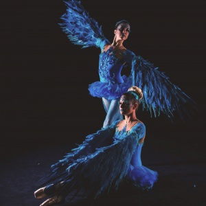 Promo Winged Ballerinas  Dorset
