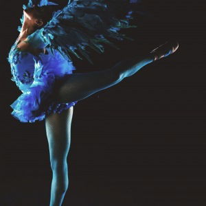 Promo Winged Ballerinas  Dorset