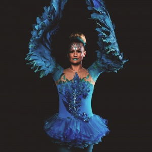 Promo Winged Ballerinas  Dorset