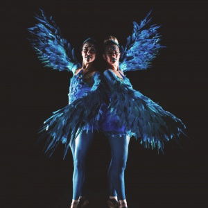 Promo Winged Ballerinas  Dorset