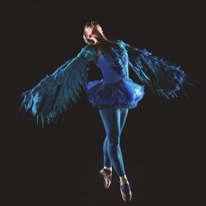 Promo Winged Ballerinas  Dorset